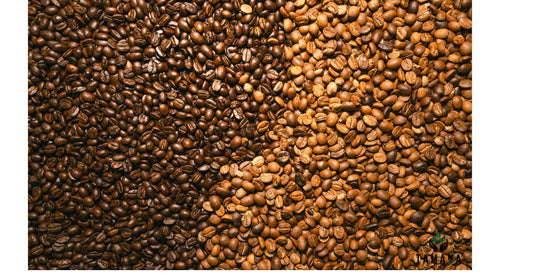 Light Roast vs Dark Roast: Which Is Better? (Complete Guide for 2026)