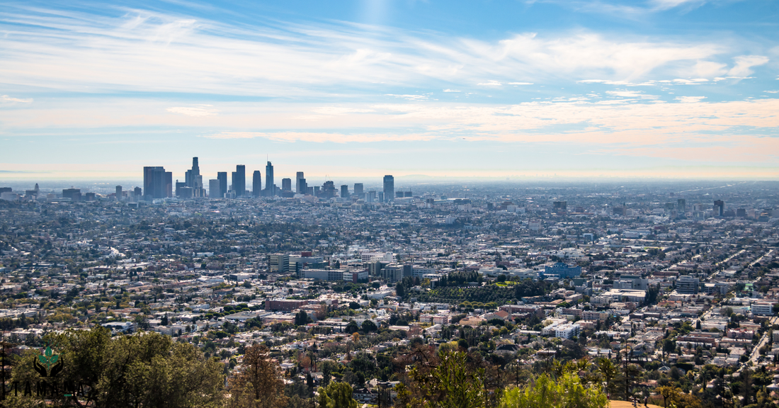 Why Does Los Angeles Love Coffee So Much?