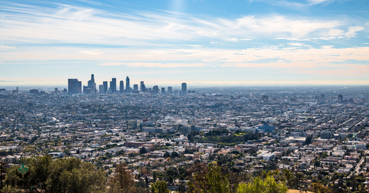 Why Does Los Angeles Love Coffee So Much?