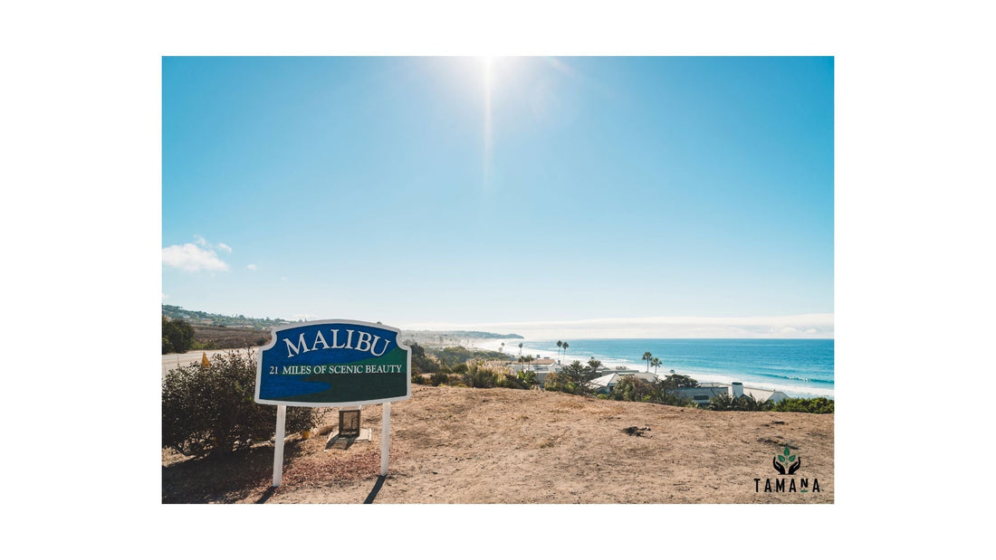 malibu beach with beach sigh saying miles of beach