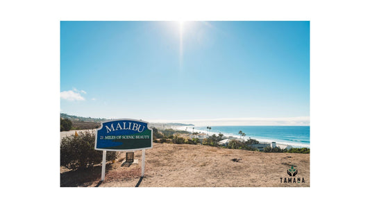 malibu beach with beach sigh saying miles of beach