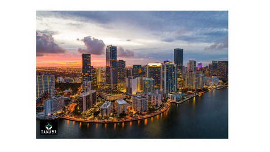 miami city drone shot at sunrise