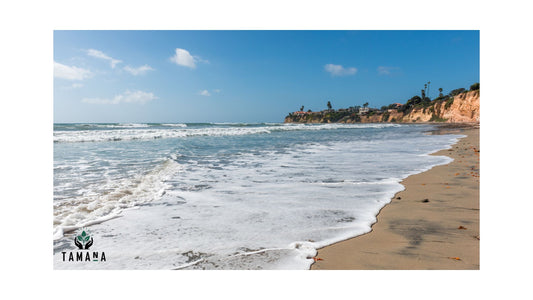 Top 5 Beach Cafés in San Diego (Mission Beach), CA (2026 Guide): Coffee by the Pacific