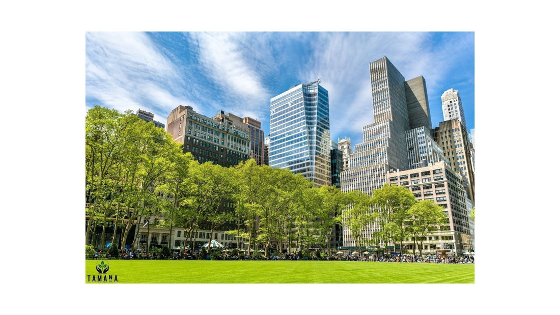 new york city with green park with white clouds