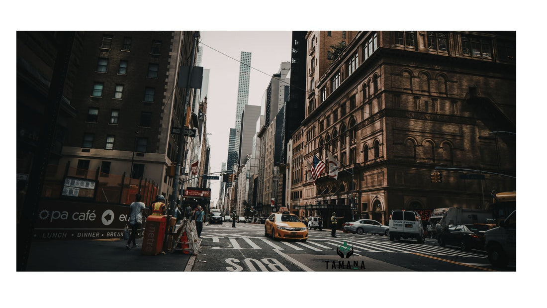 Why Do New Yorkers Love Coffee So Much?