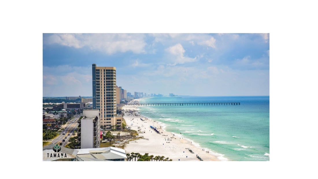 Top 5 Beach Cafés in Panama City Beach, FL (2026 Guide): Coffee on Florida’s Gulf Shore