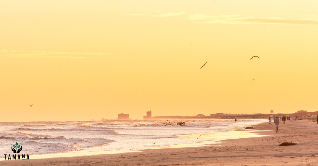 port aransas beach in evening light