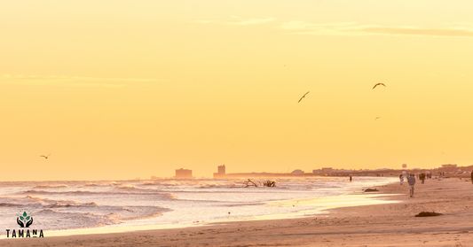 port aransas beach in evening light