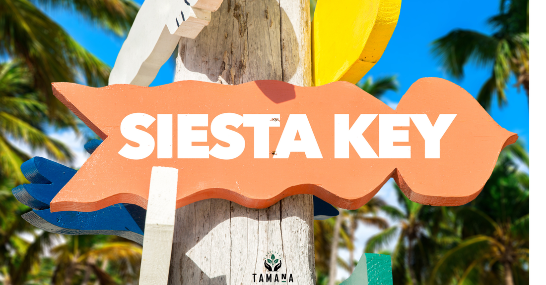 siesta key orange wavey sign