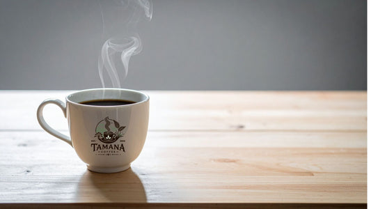Why Coffee and Simplicity Belong Together (2026 Guide)