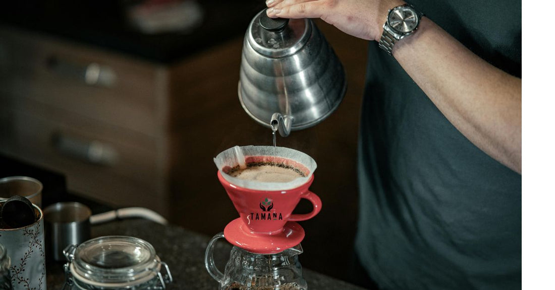 smooth medium roast coffee with balanced flavor and low bitterness
