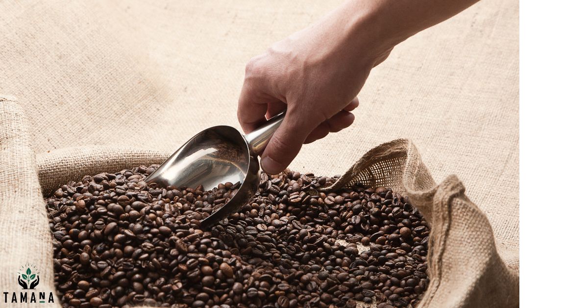 What Makes Coffee Specialty Grade? 80-Point System Explained | Tamana ...