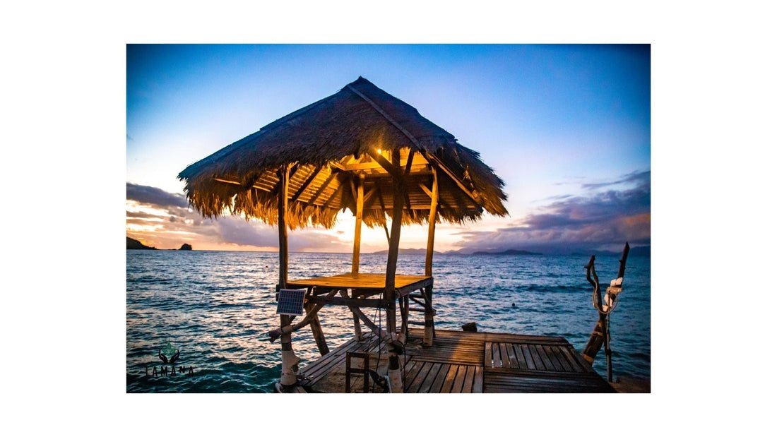 Island-Inspired Coffee: Why Tropical Environments Change Flavor and Experience