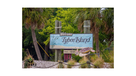 Top 5 Beach Cafés in Tybee Island, GA (2026 Guide): Coffee on Georgia’s Quiet Coast