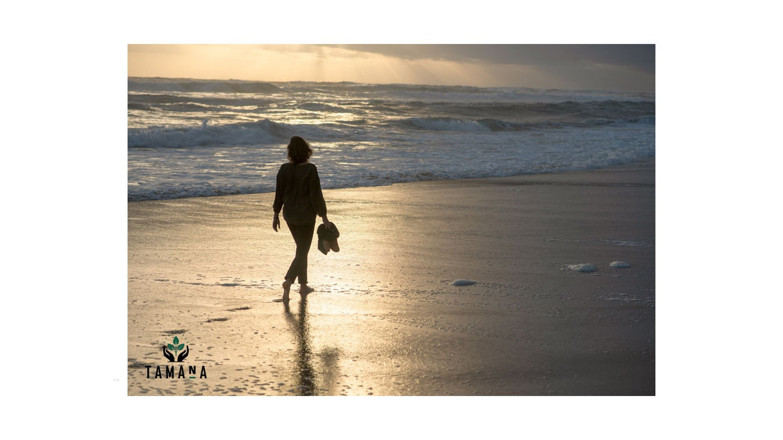 Best Coffee Shops in Miami After a Beach Walk (2026 Guide)